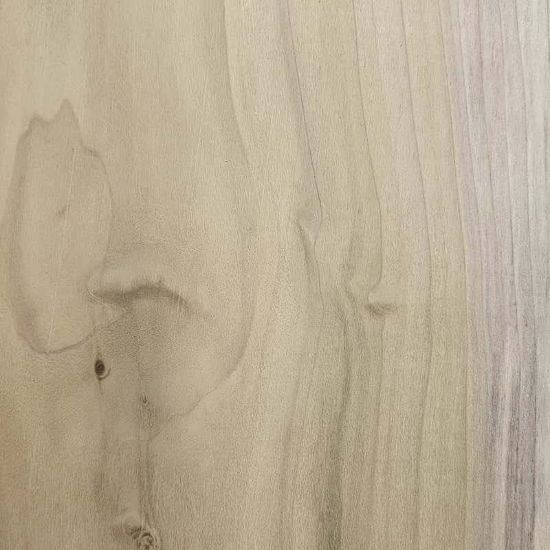 Poplar