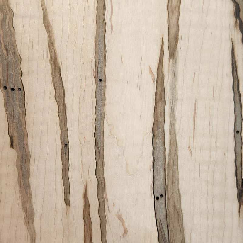 Wormy Maple