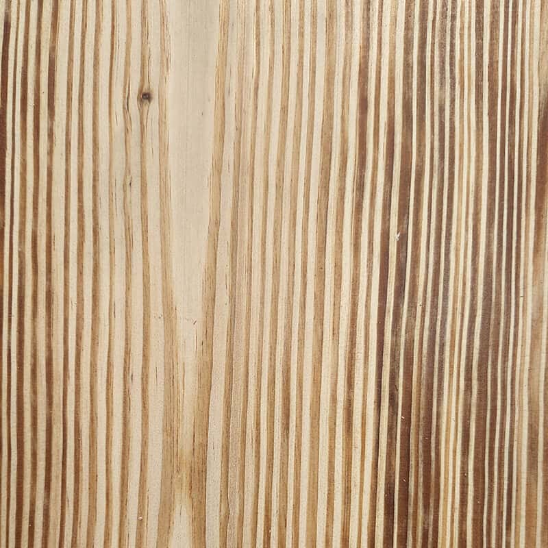Longleaf Pine