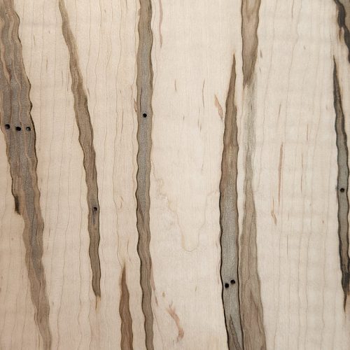Wormy Maple WV Hardwoods